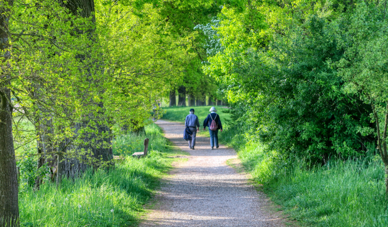 Seniors et fortes chaleurs comment bien se préparer pour un été en toute sécurité